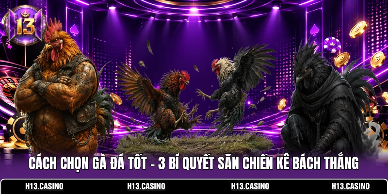 Cách Chọn Gà Đá Tốt