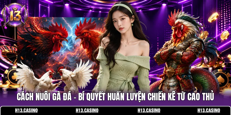Cách Nuôi Gà Đá