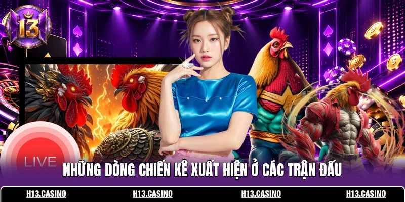 Những dòng chiến kê xuất hiện ở các trận đấu