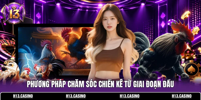 Cách Nuôi Gà Đá - Bí Quyết Huấn Luyện Chiến Kê Từ Cao Thủ 2 Phương pháp chăm sóc chiến kê từ giai đoạn đầu